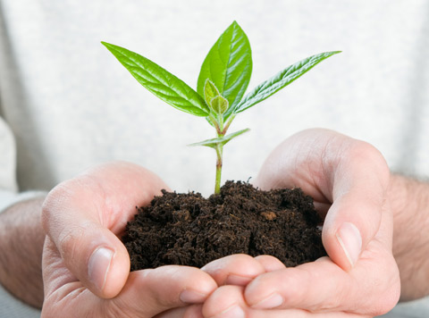 Our Social Commitment